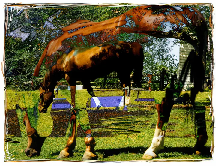 Equine2, 1997