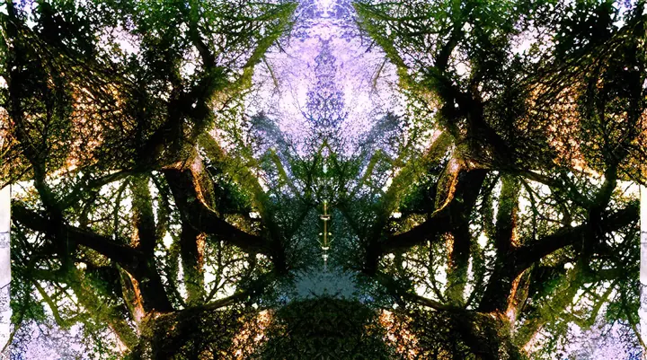 Transcendence, 1997