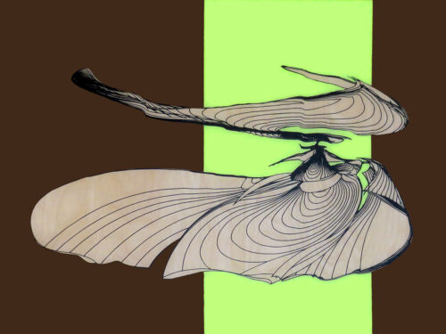 Colin Goldberg, Shima, 2014. Acrylic and pigment on birch panel with resin. 18x24 inches.