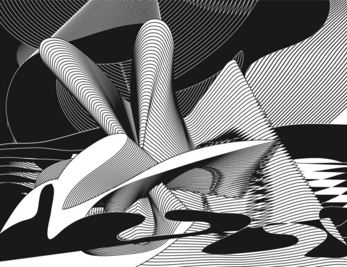 Transcape, 2004