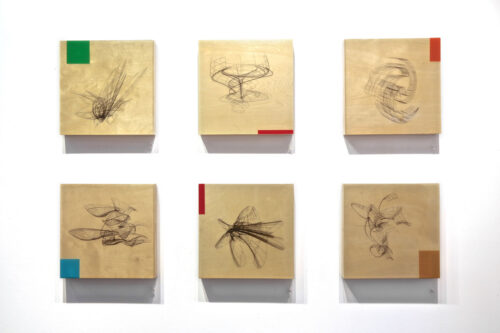 Colin Goldberg - Improbable Forms at Art Sites Gallery : Installation View. Photograph by Jeff Heatley.