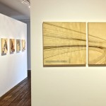 Colin Goldberg - Improbable Forms at Art Sites Gallery : Installation View. Photograph by Jeff Heatley.