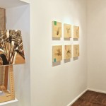 Colin Goldberg - Improbable Forms at Art Sites Gallery : Installation View. Photograph by Jeff Heatley.