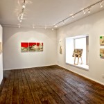 Colin Goldberg - Improbable Forms at Art Sites Gallery : Installation View. Photograph by Jeff Heatley.