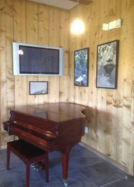 Clovis Point Vineyard - Installation View