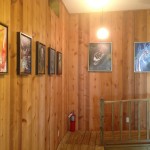 Clovis Point Vineyard - Installation View