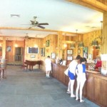 Clovis Point Vineyard - Installation View