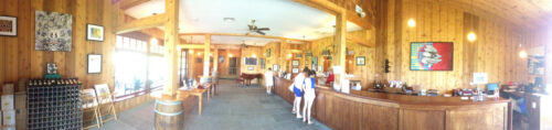 Clovis Point Vineyard - Installation View
