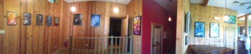 Clovis Point Vineyard - Installation View