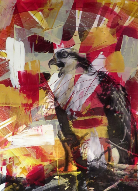 Colin Goldberg, Red Osprey #1, 2015. Acrylic and pigment on Rives BFK paper. 29 x 21 inches.