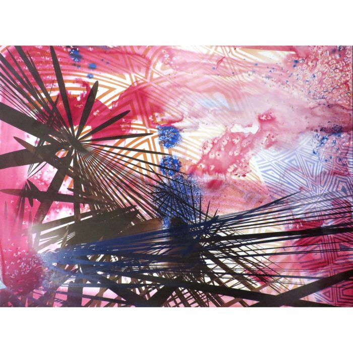 Colin Goldberg, Hanabi, 2017. 22 x 30 inches. India ink and pigment on Rives BFK paper.