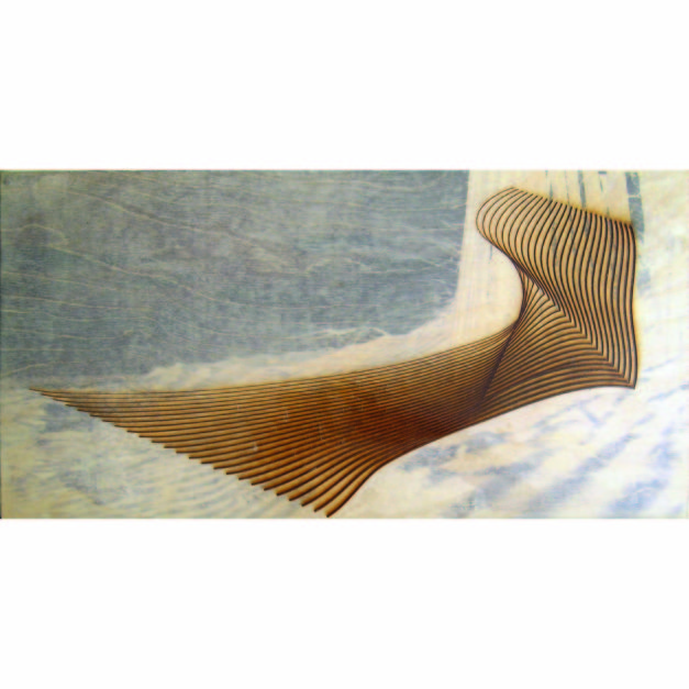 Flying Point, 2006. Laser-etched wood panel with pigment and liquid polymer, 12 x 24 inches. Private collection, New York.