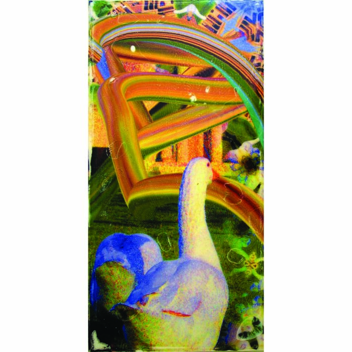 Colin Goldberg, Agawam Goose #2, 2006. Pigment on wood panel with liquid polymer, 12 x 24 inches.