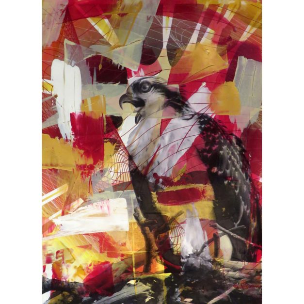Red Osprey #1, 2015. Acrylic and archival inkjet on Rives BFK paper. 29 x 21 inches. Private collection.