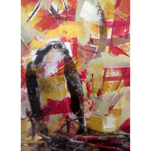 Colin Goldberg, Red Osprey #2, 2015. Acrylic and pigment on Rives BFK paper. 29 x 21 inches. Private collection.
