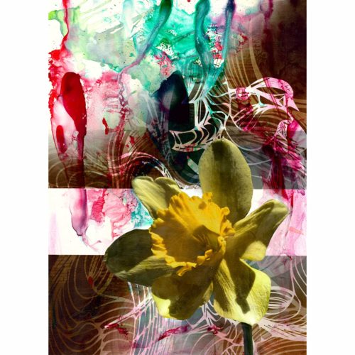 Colin Goldberg, Daffodil #2, 2018. India ink, acrylic and archival inkjet with iridescent primer on Rives BFK paper. 29 x 21 inches.
