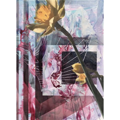 Colin Goldberg, Daffodil #3, 2018. India ink, acrylic and archival inkjet with iridescent primer on Rives BFK paper. 29 x 21 inches.