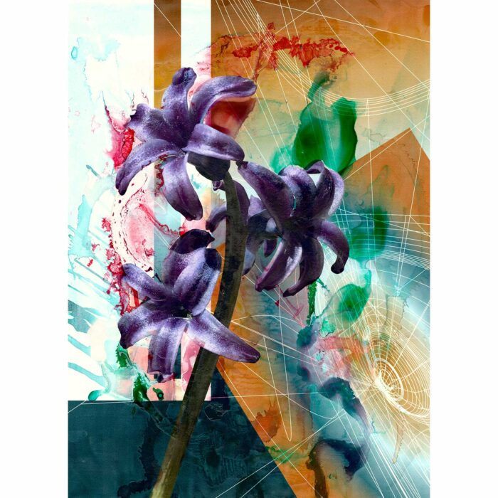 Colin Goldberg, Hyacinth, 2018. India ink, acrylic and ink with iridescent primer on Rives BFK paper. 29 x 21 inches.