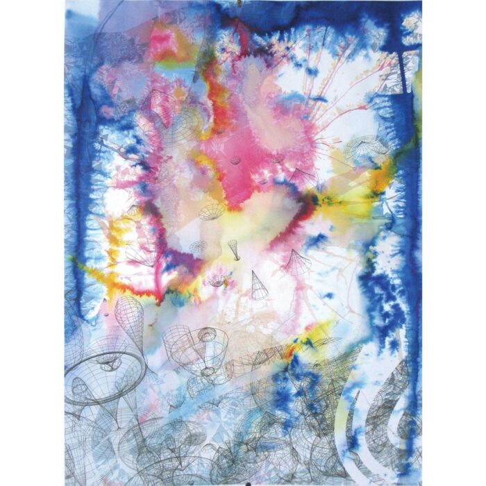 Colin Goldberg - Technodelica, 2006. India ink and pigment on Rives BFK paper. 29x21 in.