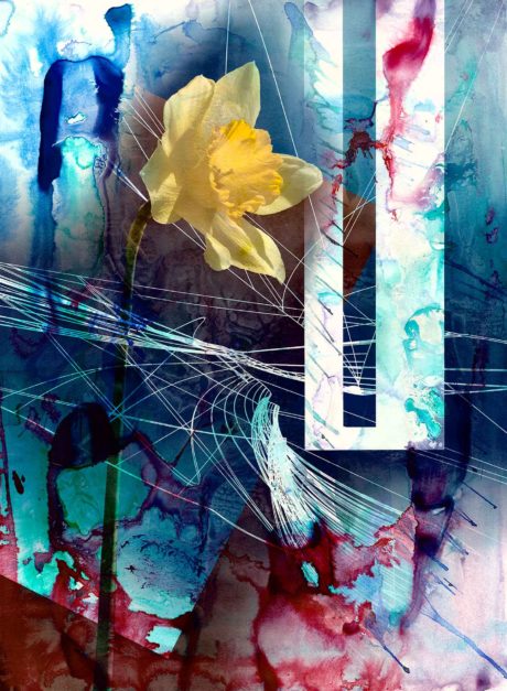 Colin Goldberg, Daffodil, 2018. India ink, acrylic and ink with iridescent primer on Rives BFK paper. 29 x 21 inches.