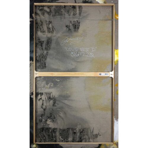 Colin Goldberg, COVID TEST D, 2020. India ink, acrylic and ink on linen. 60 x 36 inches.