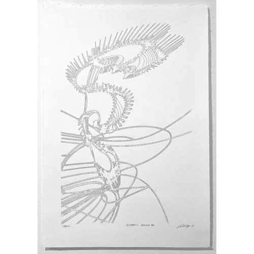 Colin Goldberg, Biomorphic Drawing 001, 2021
