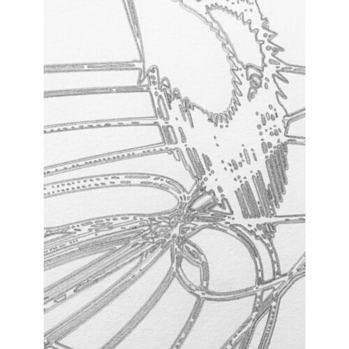 Colin Goldberg, Biomorphic Drawing 001, 2021