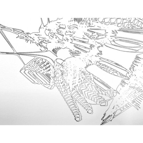 Colin Goldberg, Snowfall 2A, 2021.