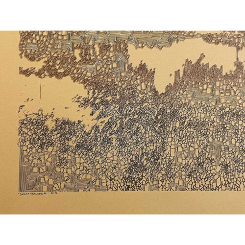 Colin Goldberg, Swamp Drawing #1, 2021.