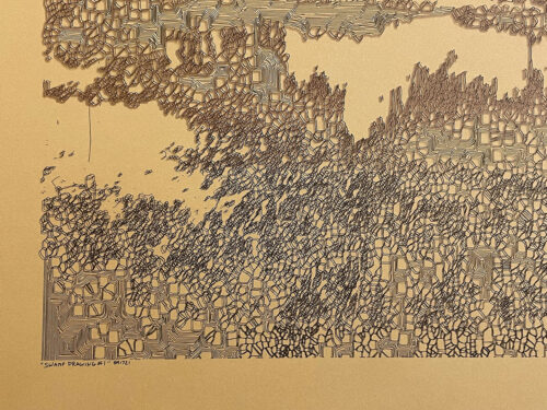 Colin Goldberg, Swamp Drawing #1, 2021.
