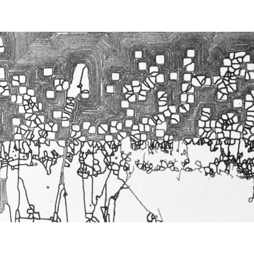 Colin Goldberg, Swamp Drawing #2, 2021