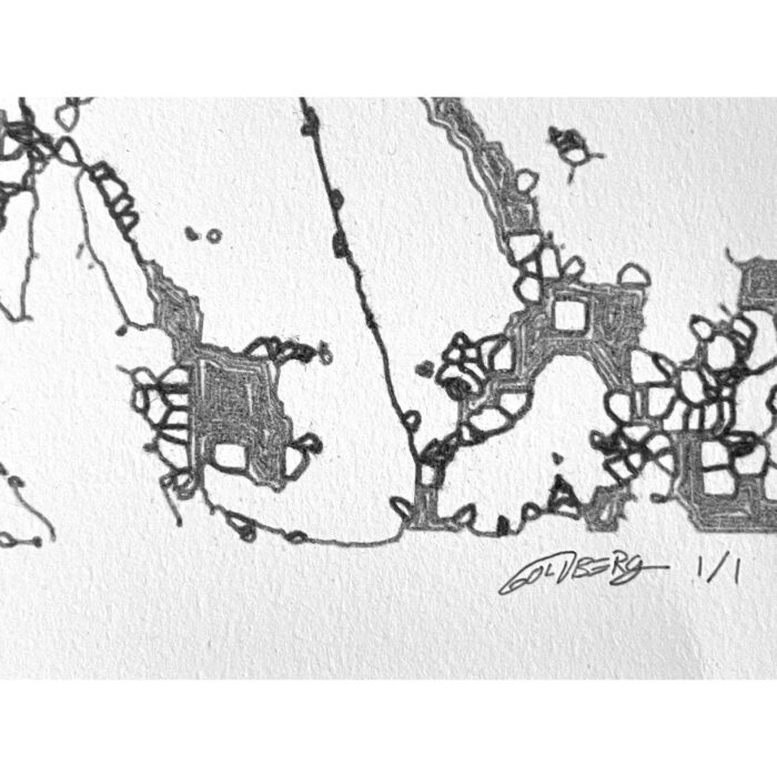 Colin Goldberg, Swamp Drawing #2, 2021