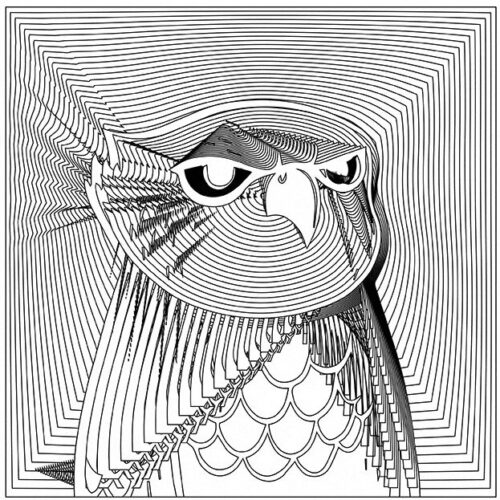 Colin Goldberg, This Owl Spent Too Much Time at the Club. 2021