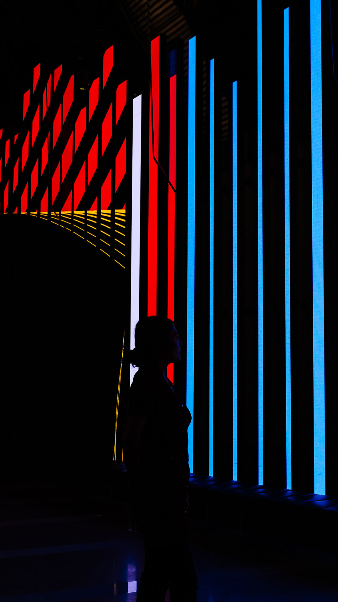 Interior Landscape, Colin Goldberg