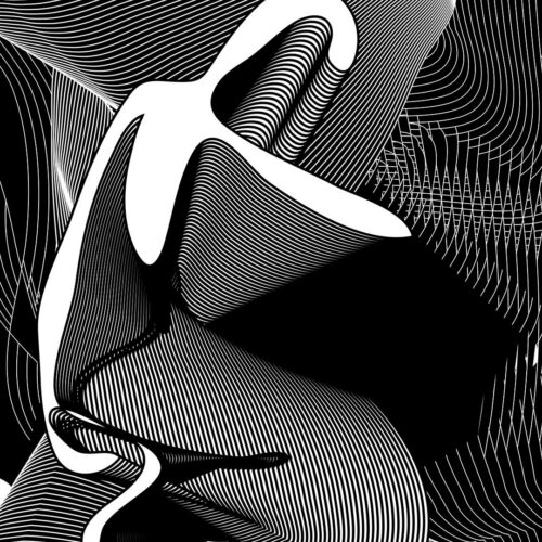 Abstract black-and-white digital art featuring bold, flowing lines and curves that create a sense of movement and depth, with complex intersecting patterns and shapes throughout the image.