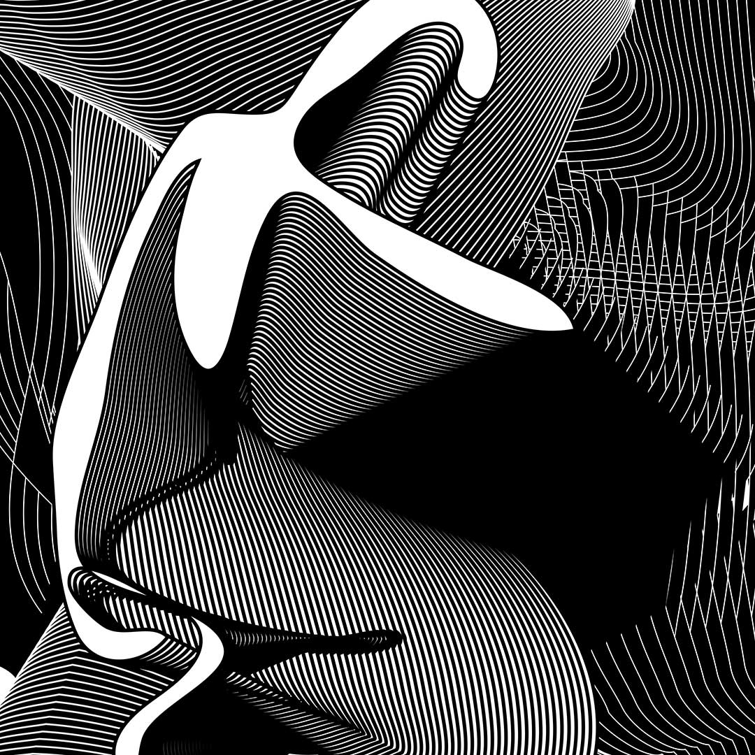 Abstract black-and-white digital art featuring bold, flowing lines and curves that create a sense of movement and depth, with complex intersecting patterns and shapes throughout the image.