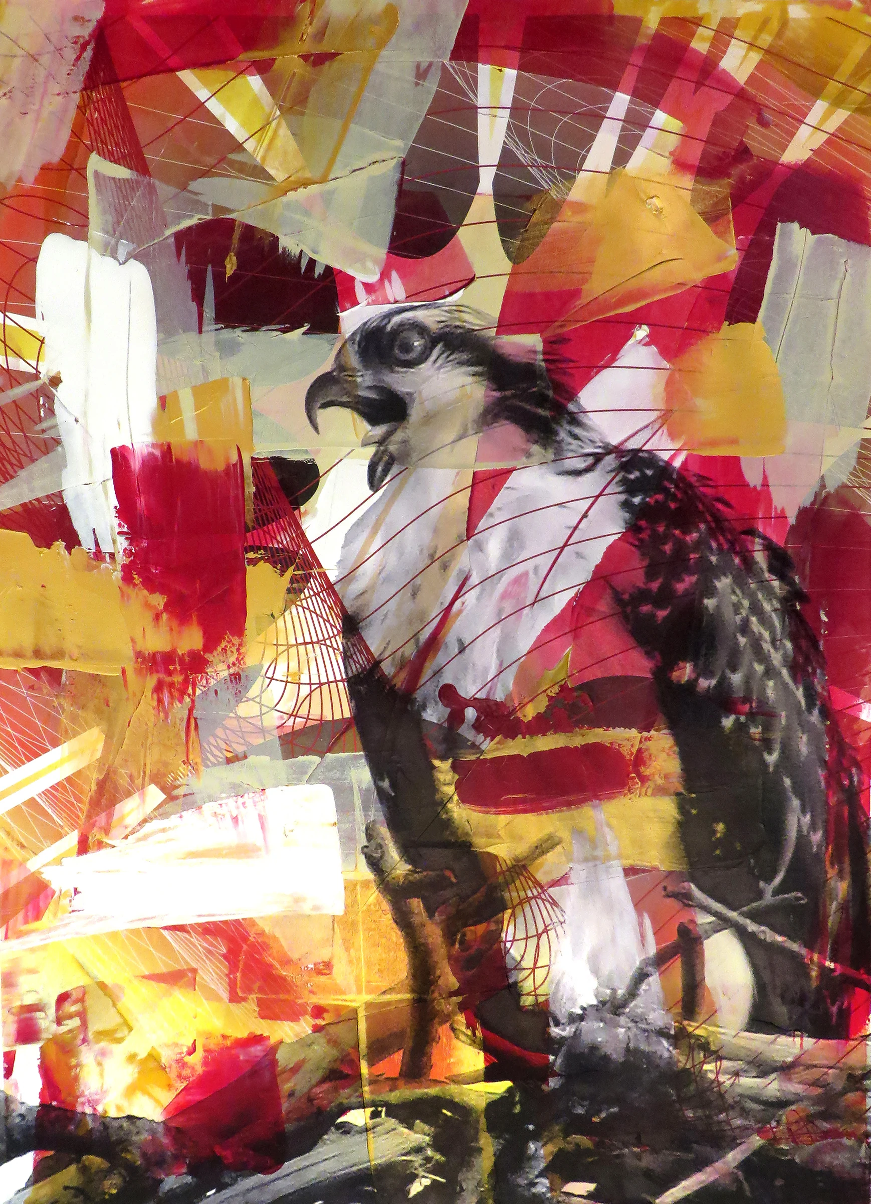Red Osprey No 1, 2015
