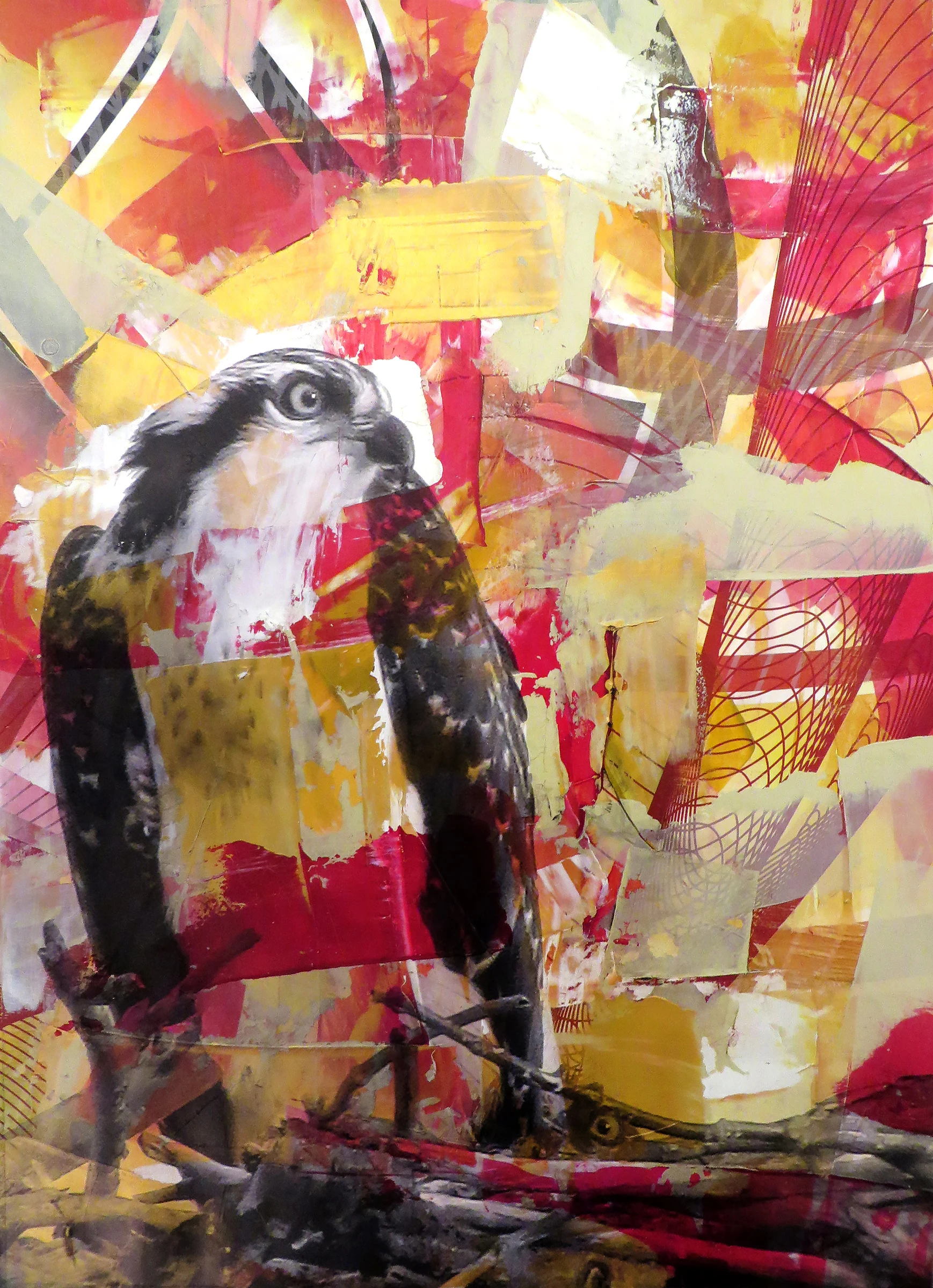 Red Osprey No 2, 2015