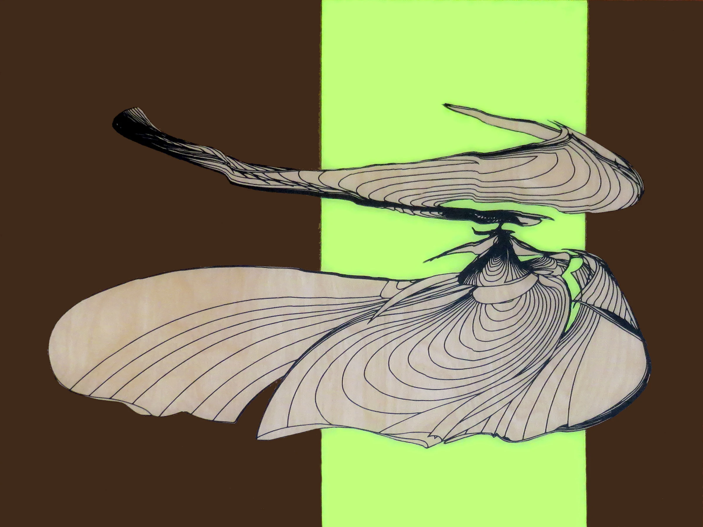 Shima, 2014