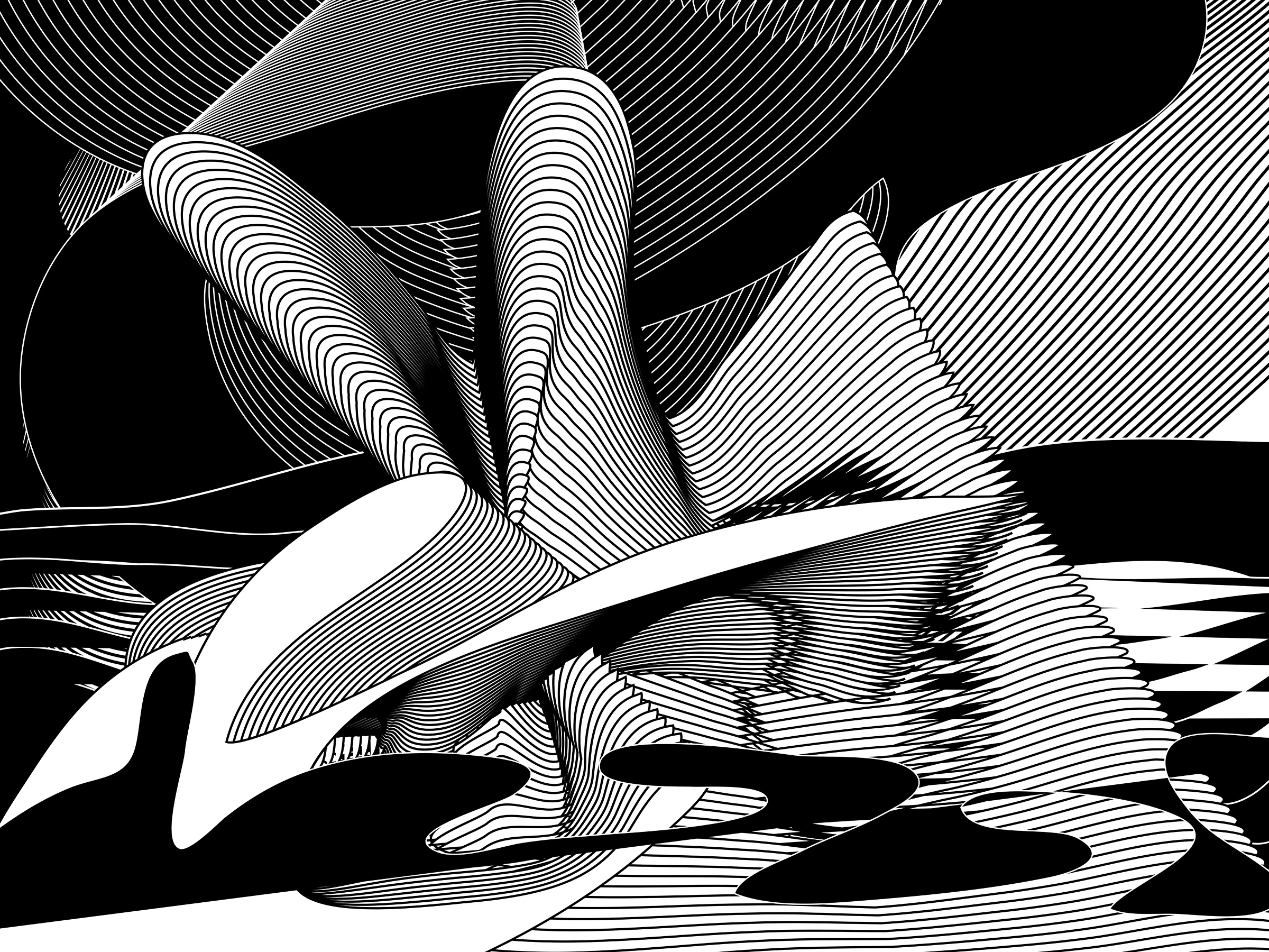 Transcape, 2004