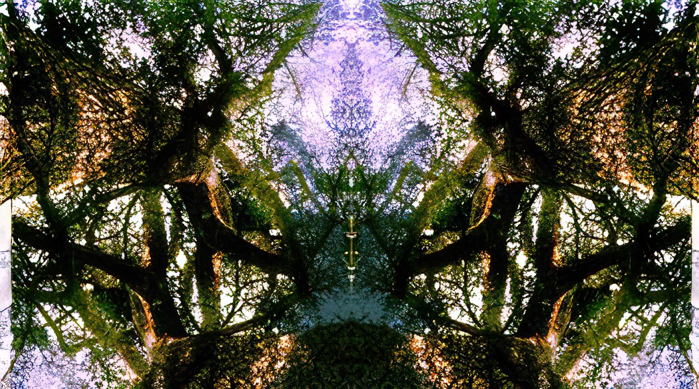 Transcendence, 1997